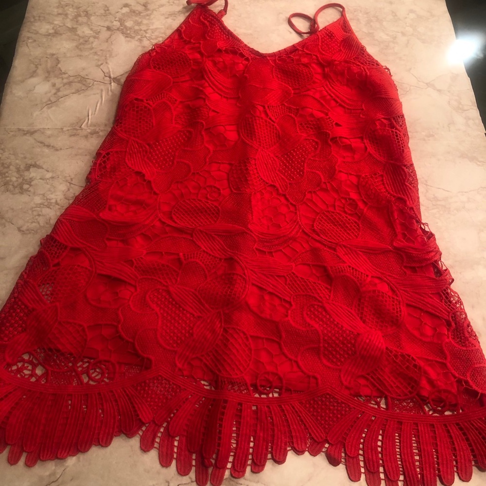 Express Crochet Shift Overlay Dress